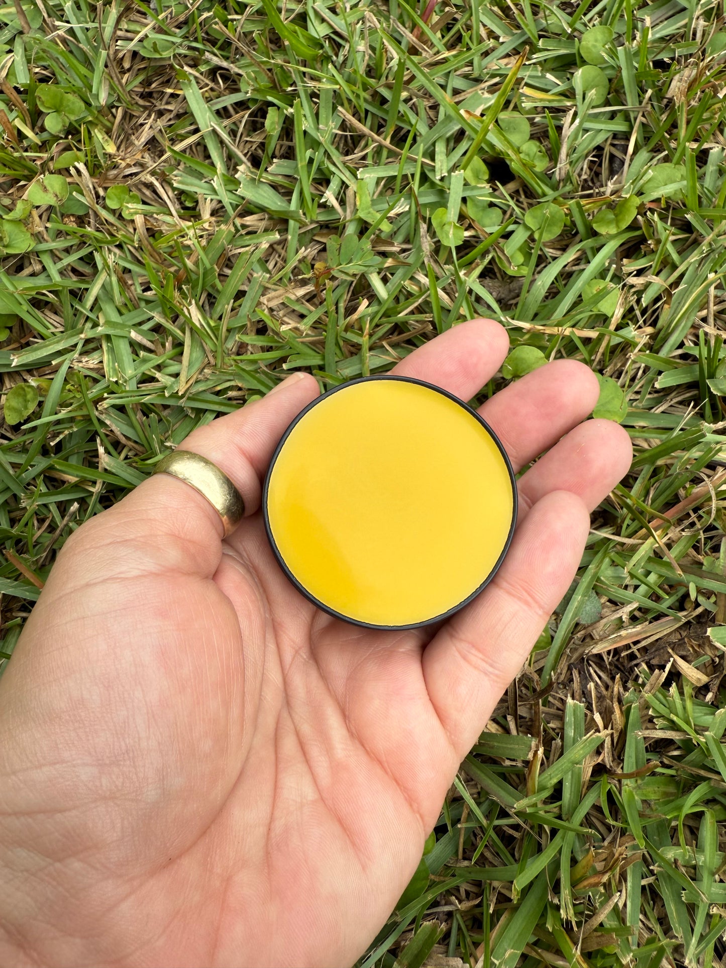 Botanical Salve