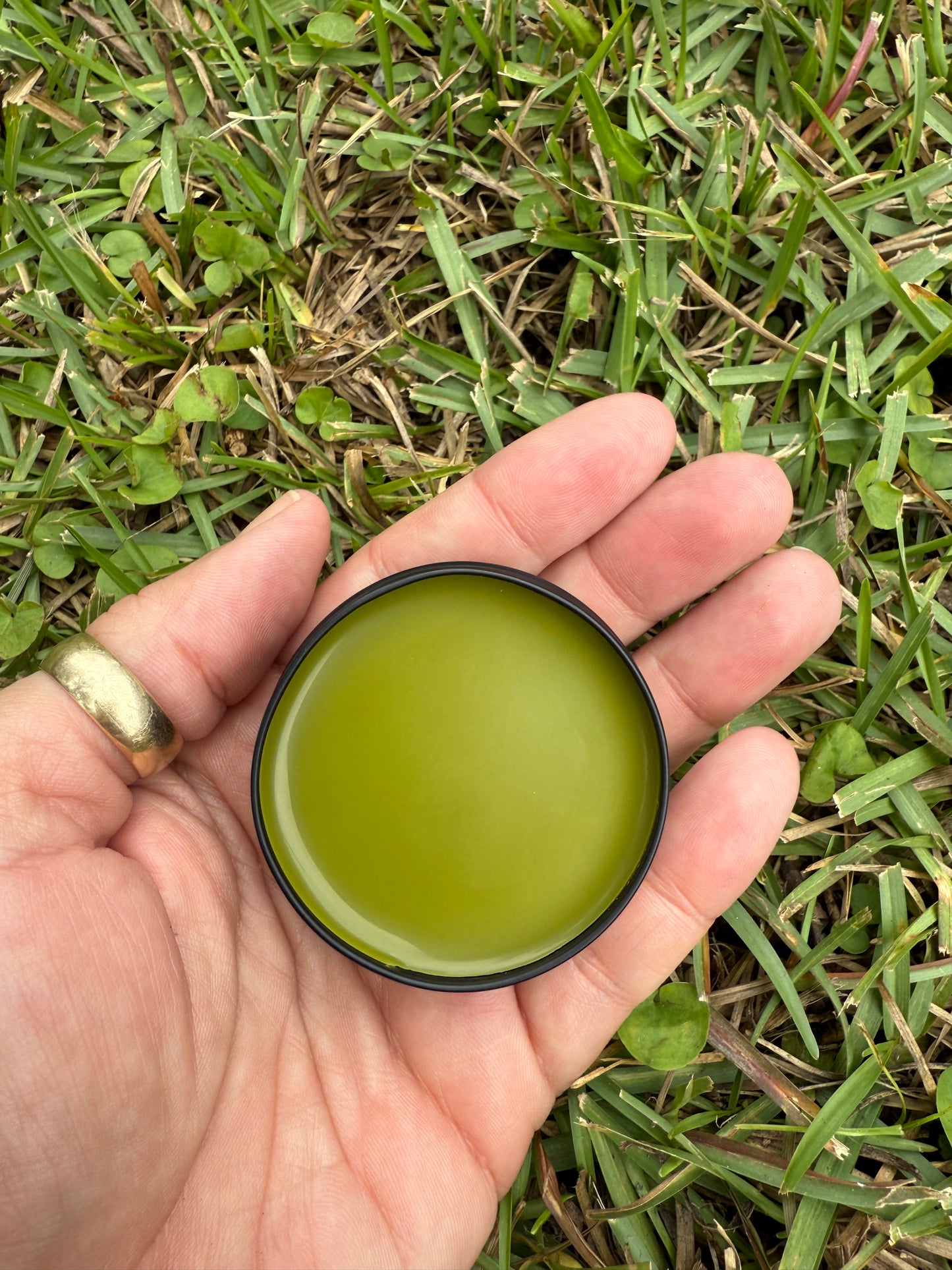 Botanical Salve